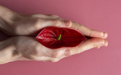Labiaplasty Surgery in Kenya